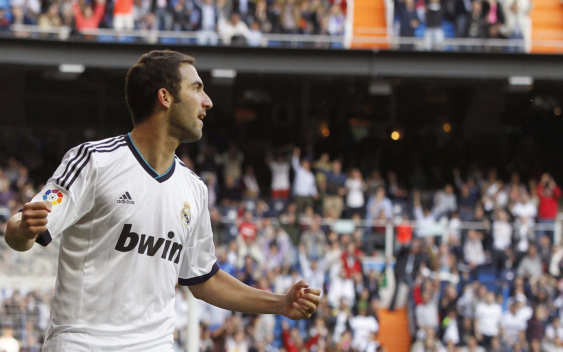 国足球迷热情持续高涨，国足对球迷评论的回应