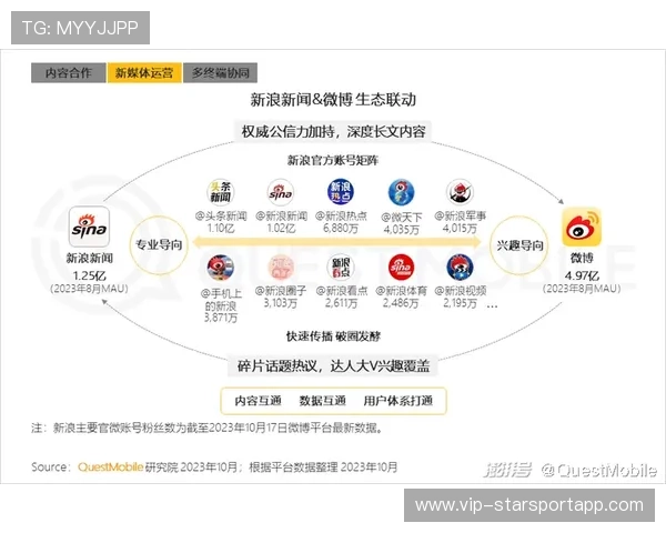 青少年体育兴趣图谱用于文化传播精准定位，青少年体育问题